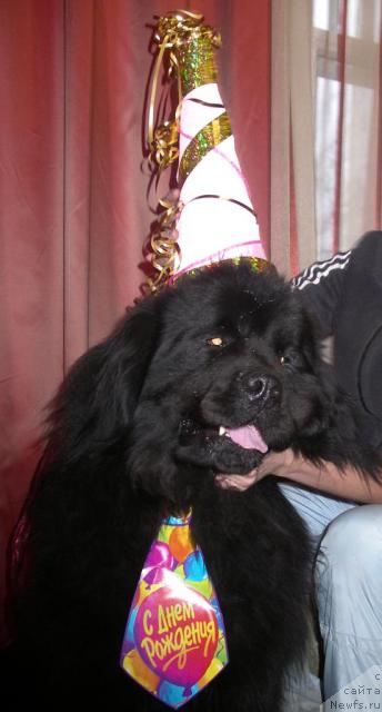 Фотография № 33911