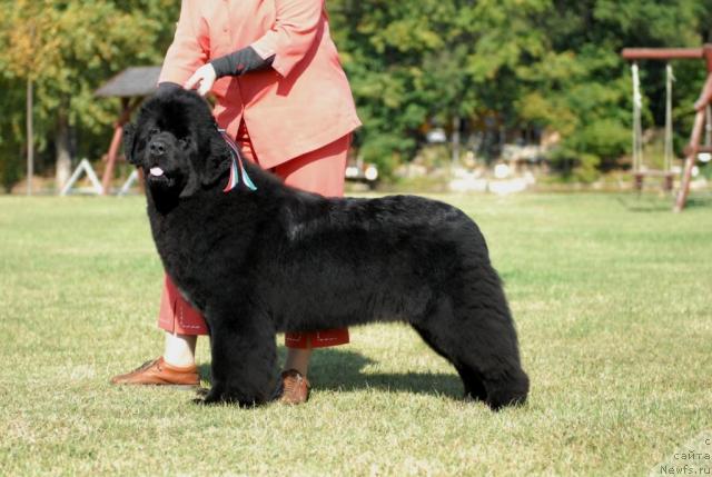 Фотография № 33922