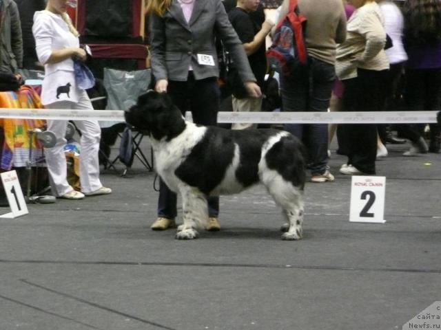 Фото: BREAKING NEWS  DE L'ILIADE EL L'ODYSSEE