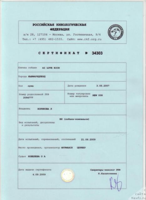 Фото: ньюфаундленд Ai Love Rich (Ай Лав Рич)