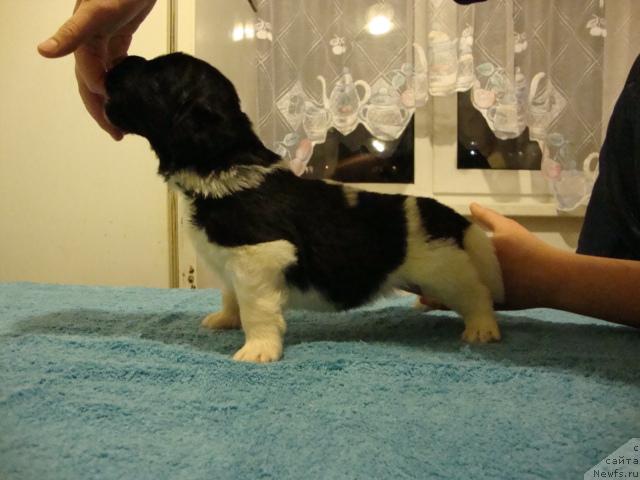 Фото: Дети [d7620]и [d6720]