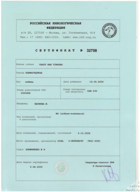 Фото: ньюфаундленд Usatyiy Nyan' Timosha (Усатый Нянь Тимоша)