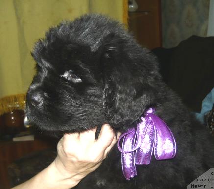 Фото: Бегущая по волнам Ритм энд Блюз