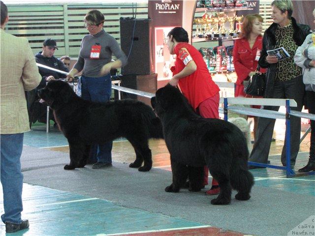 Фотография № 34166