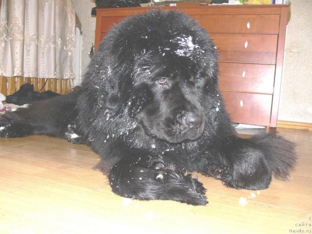 Фотография № 34205