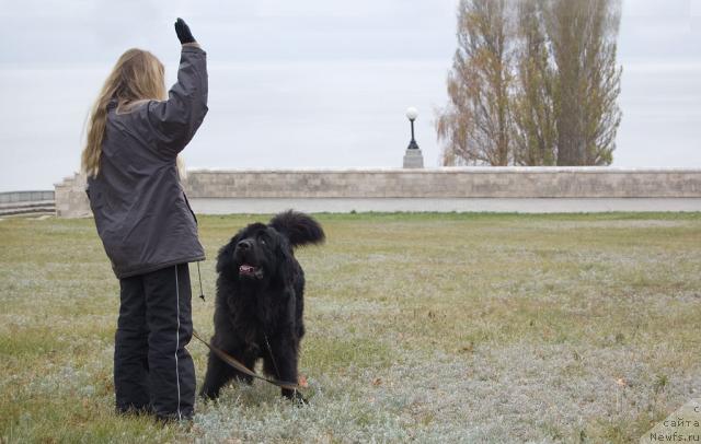 Фотография № 34252