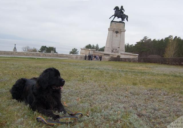 Фотография № 34253