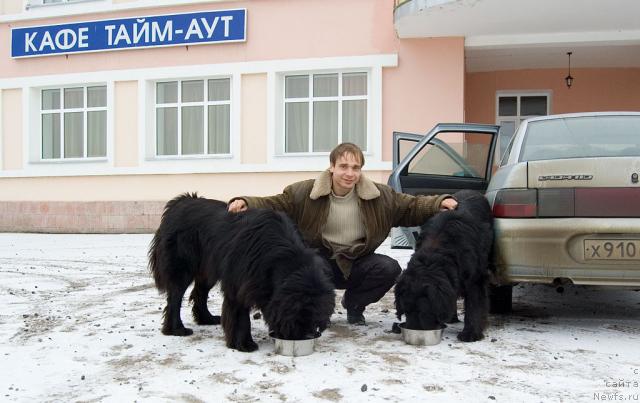 Фотография № 34254