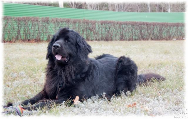 Фотография № 34255