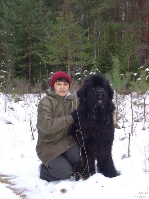 Фото: ньюфаундленд Akin Soul Sofiya (Акин Соул София), Галия