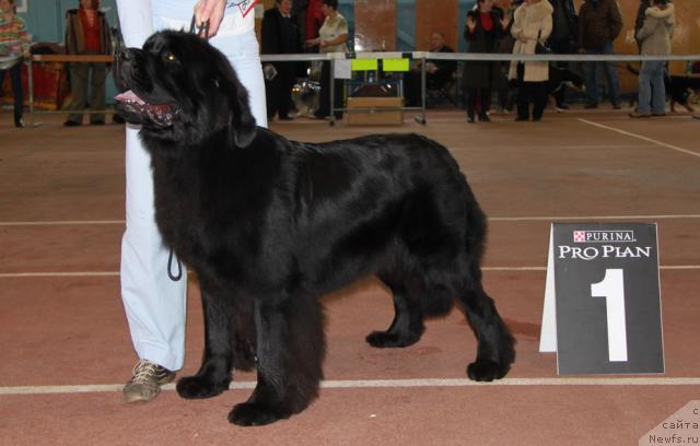 Фотография № 34376