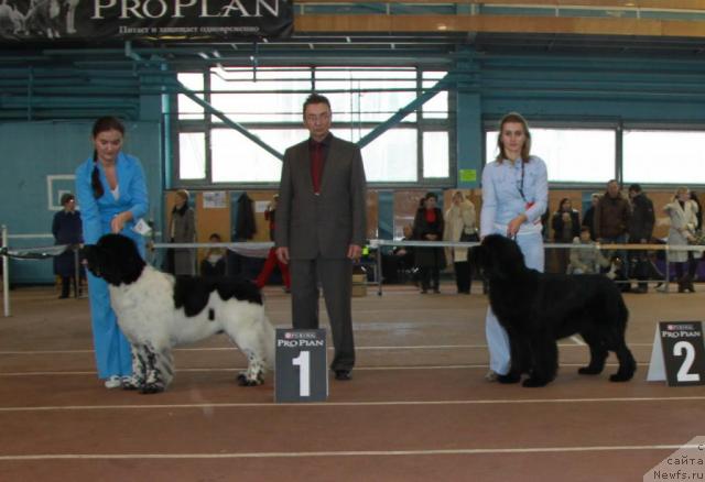 Фотография № 34378