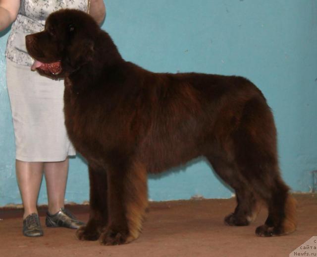 Фотография № 34379