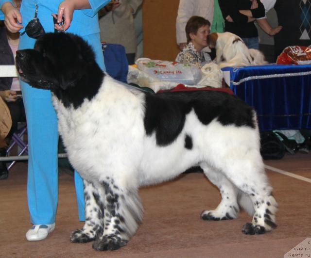 Фотография № 34387