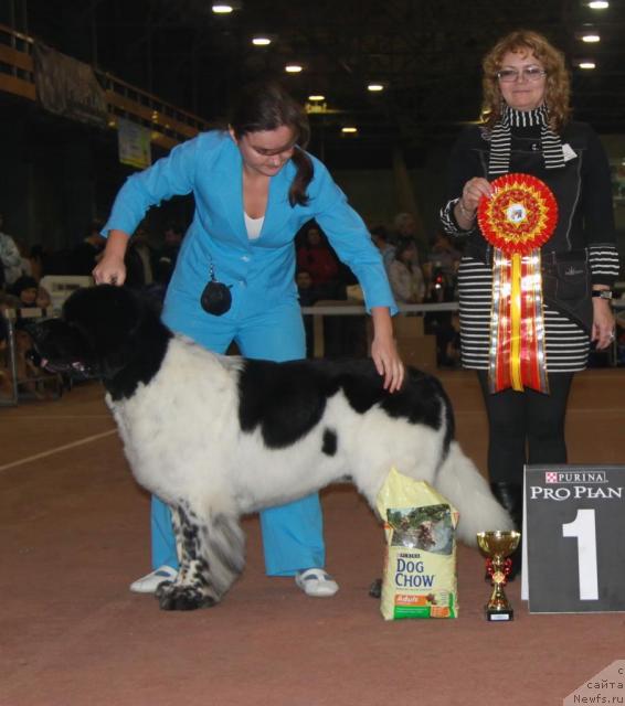 Фотография № 34389