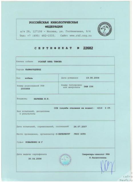 Фото: ньюфаундленд Usatyiy Nyan' Timosha (Усатый Нянь Тимоша)