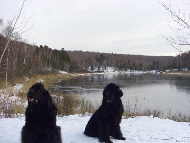 Фотография № 34400