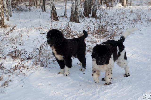 Фотография № 34415