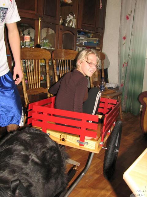 Фотография № 34462