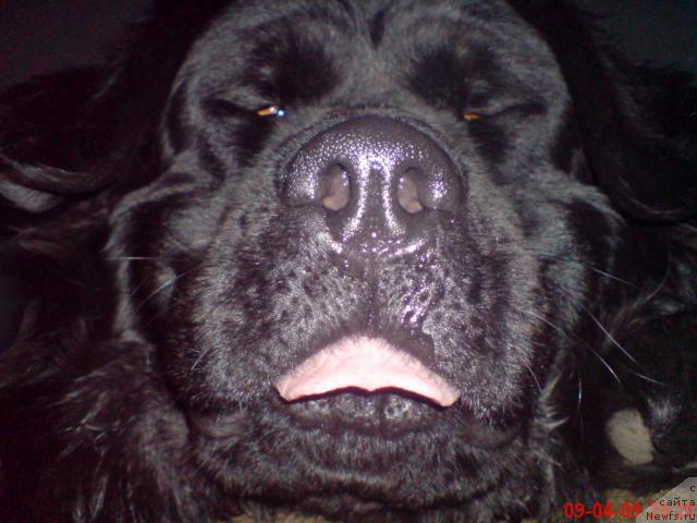 Фотография № 34475