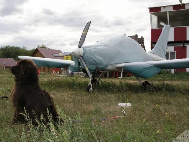 Фотография № 34481