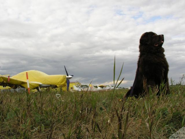 Фотография № 34482