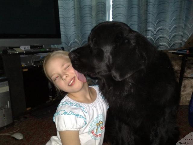 Фотография № 34485