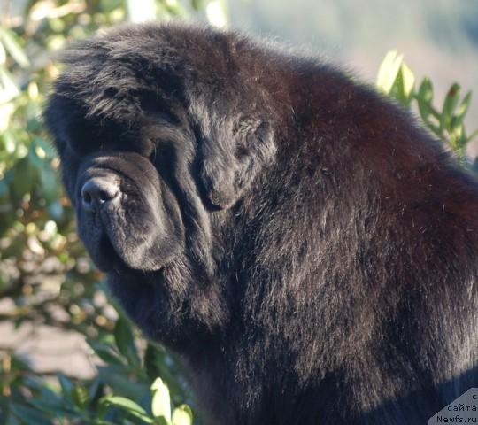 Фотография № 34490