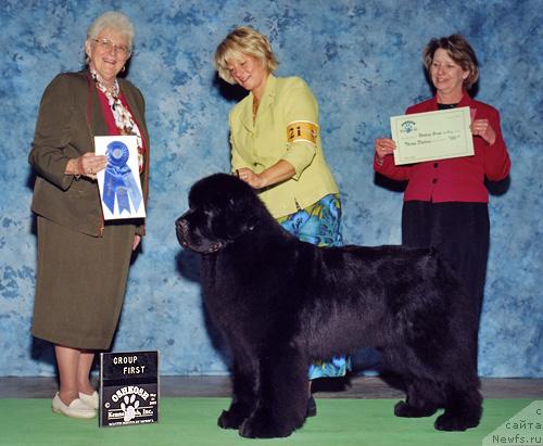 Фото: ньюфаундленд Pouch Cove's Keynote Speaker