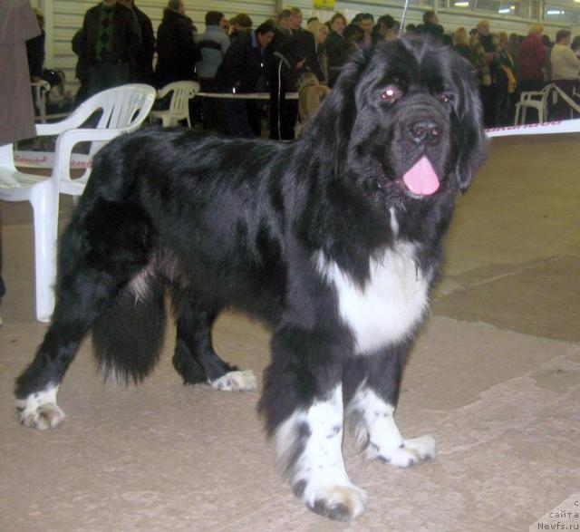 Фотография № 34503