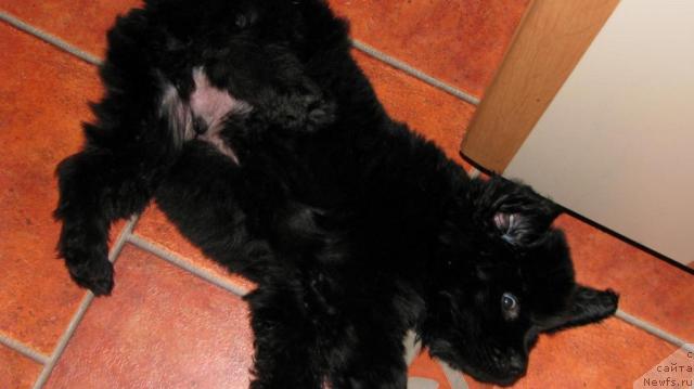 Фото: Vitaliy Ipatov (Виталий Ипатов)