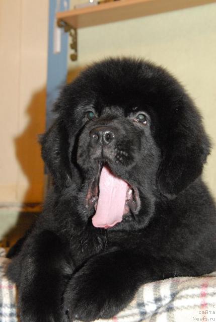 Фотография № 34547