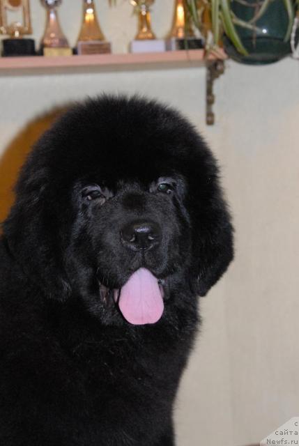 Фотография № 34548