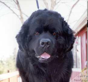 Фотография № 34553