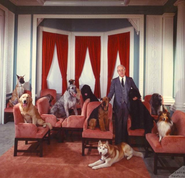 Фотография № 34554