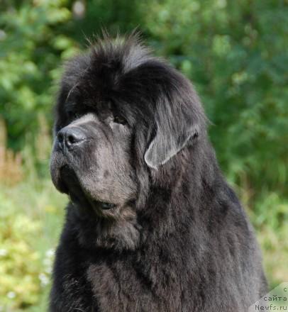 Фотография № 34556