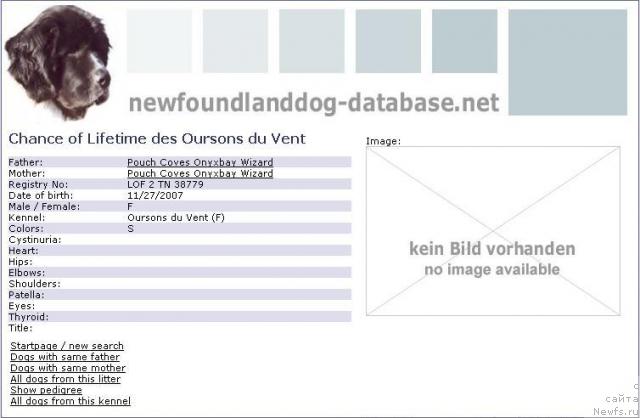 Фотография № 34557