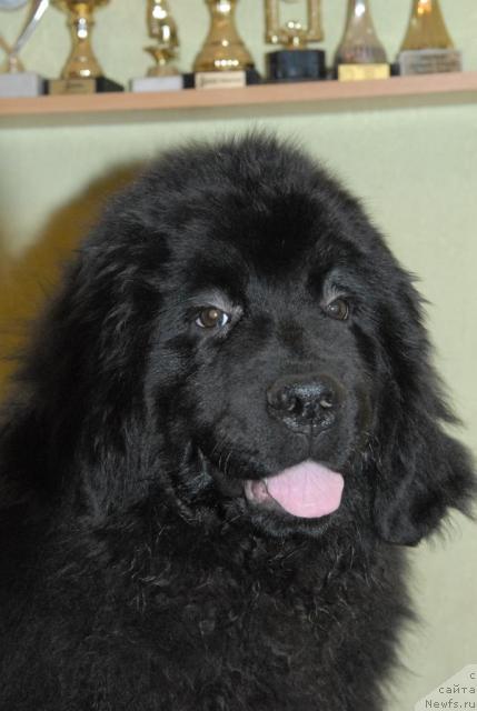 Фотография № 34622