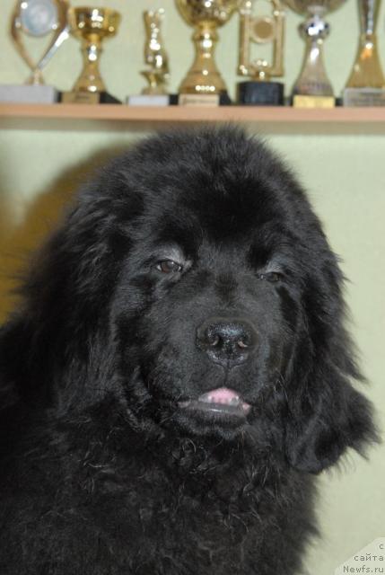 Фотография № 34623