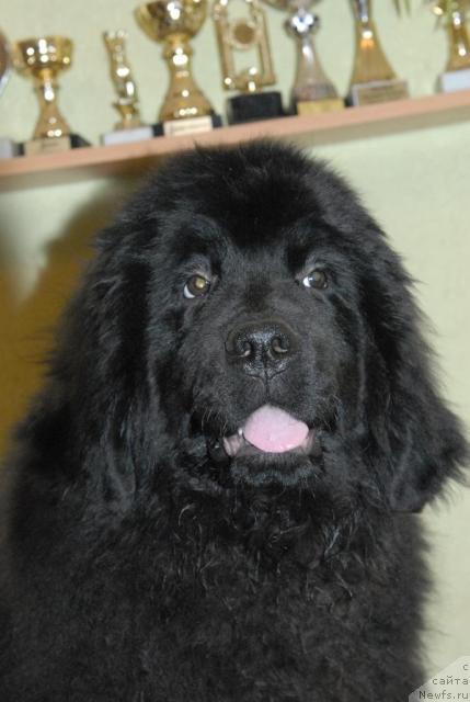 Фотография № 34626