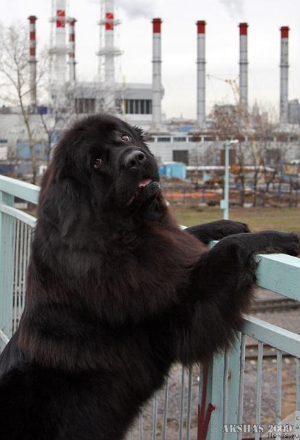 Фотография № 34631