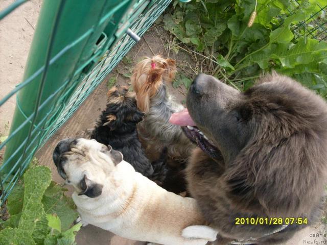 Фото: Natal'ya Breeva (Наталья Бреева)