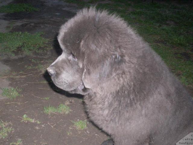 Фото: Natal'ya Breeva (Наталья Бреева)