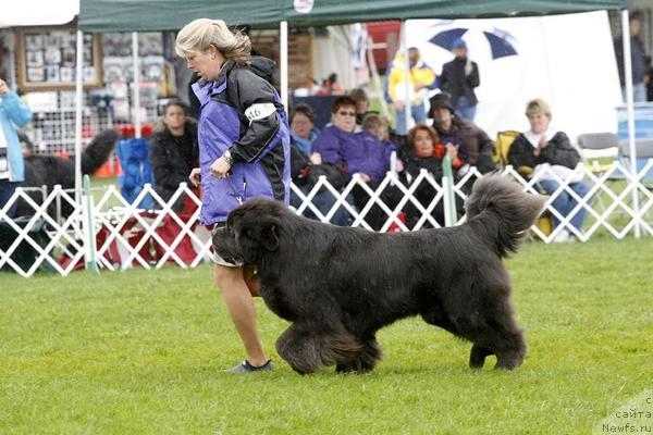 Фотография № 34763