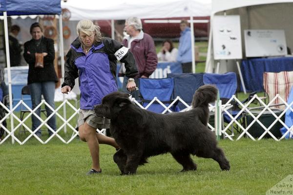 Фотография № 34767