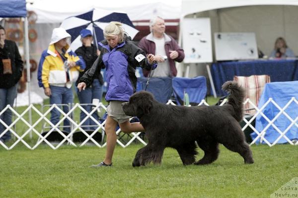 Фотография № 34768