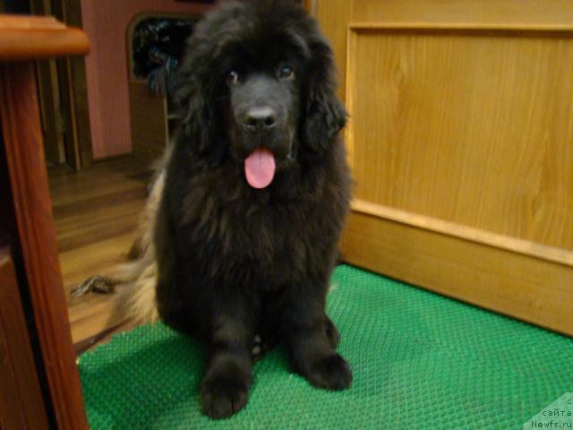 Фотография № 34782