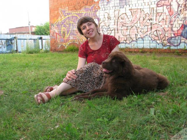 Фото: ньюфаундленд Magnat iz Arkaima (Магнат из Аркаима), Svetlana Petruy (Светлана Петруй)