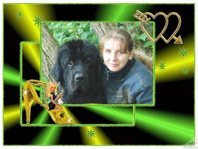 Фотография № 34807