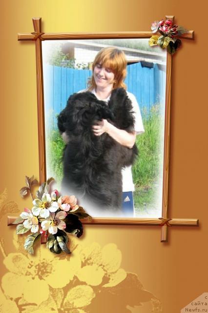 Фото: Irina CHernikova (Ирина Черникова)